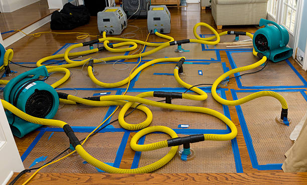 Professional Structural Drying And Dehumidification technician working in Elmont, NY